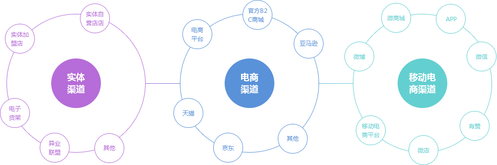 实体渠道 电商渠道 移动电商渠道 实体加盟店 实体自营店 其他 异业联盟 电子货架
电商平台 京东 天猫 亚马逊 官方B2C商城 微博 移动电商平台 微店 有赞 微信 APP 微商城